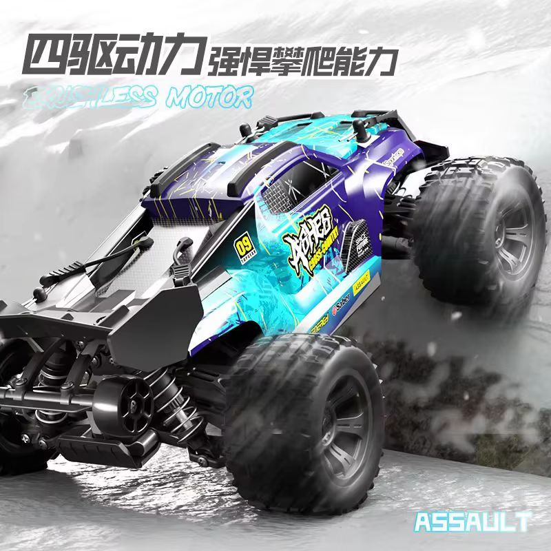 성인용 취미용 1:18 스케일 4륜 구동 브러시리스 R - Rc Hobby Grade Monster Truck 리뷰 및 가격